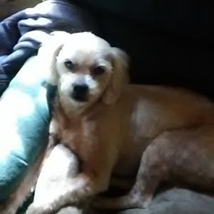 Meet your Posher, Tammy